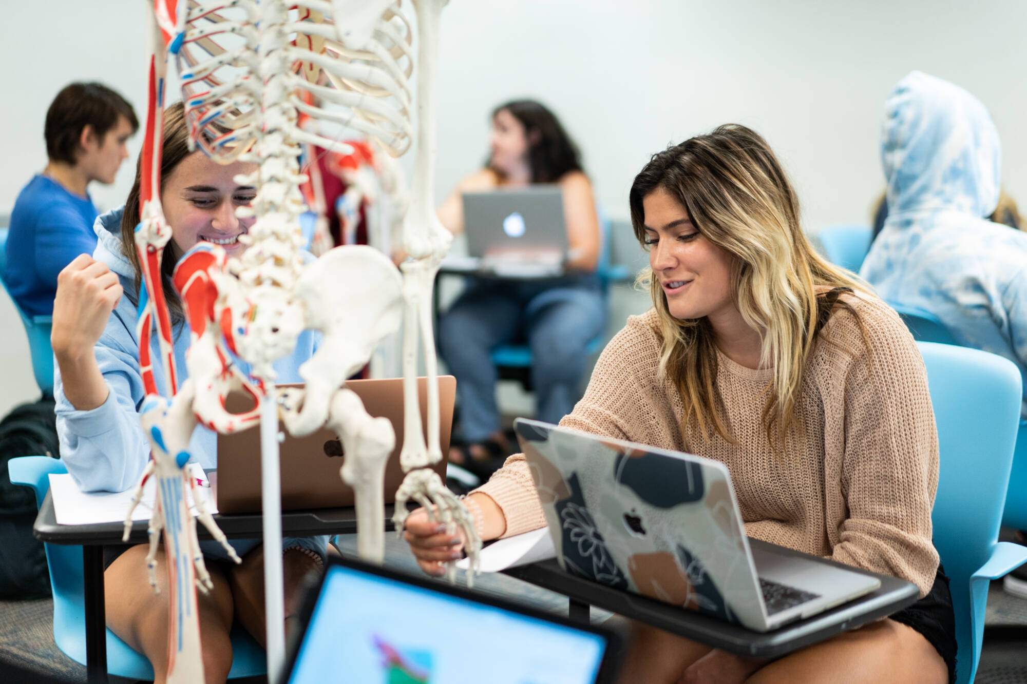 Students sitting in kinesiology with open laptops and a skeleton in the foreground